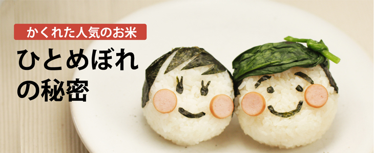ひとめぼれ