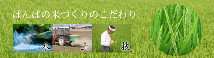 米づくりのこだわり
