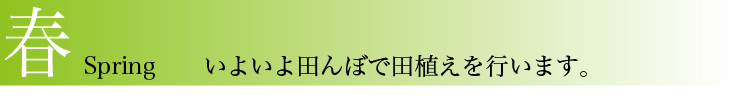 米づくりのこだわり