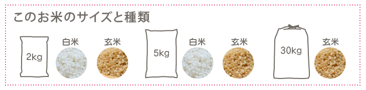 お米のバリエーション